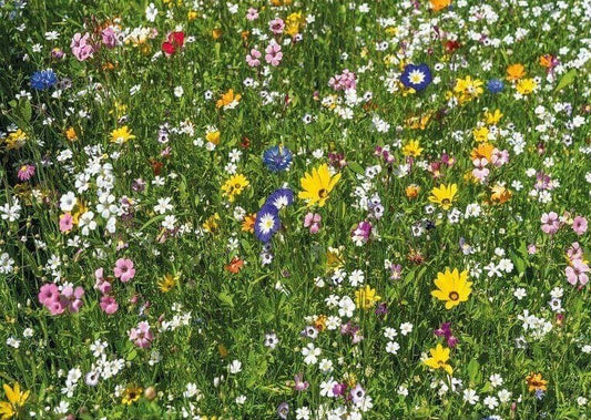 Wentworth - Colourful Meadow - 40 Piece Wooden Jigsaw Puzzle
